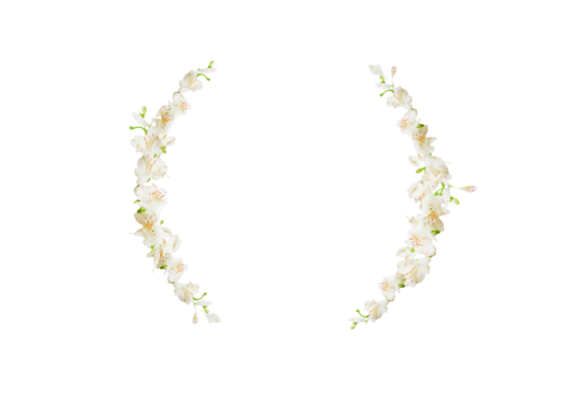 Flower foliage circle overlays, golden ring, backdrop overlays, maternity rings, art portrait, Digital Background, texture, png