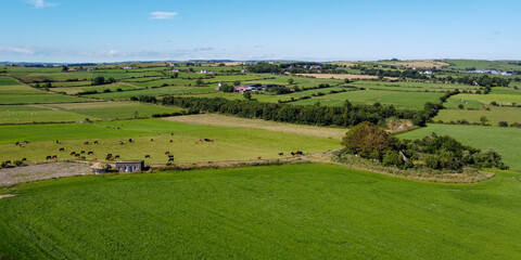 Vast pastures for cattle in the Ireland. Picturesque farmland, top view. Agricultural landscape on a sunny summer day. Nature. Green grass field under blue sky