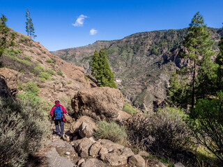 Walking from Roque Nublo to Tejeda on the island of Gran Canaria, Canary Islands, Spain - 588083383