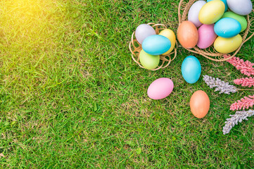 Fototapeta na wymiar Happy Easter holiday greeting card concept. Colorful Easter Eggs and spring flowers on green grasses background. Flat lay, top view, copy space.