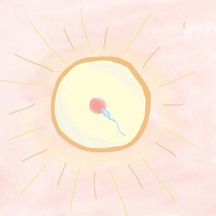 illustration of fertilization of an egg by a sperm cell. watercolor illustration