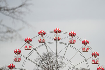 ferris wheel in the park