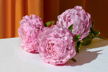 pink peonies on the background of curtains close-up