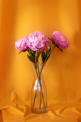 pink peonies in a glass vase against the background of yellow curtains