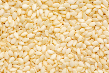 Closeup of lots of white sesame seeds. Sesame seeds background