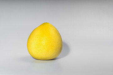 żółty owoc pomelo (Rutaceae) na jednolitym jasnym lub białym tle - obrazy, fototapety, plakaty