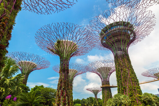Gardens by the Bay in Singapore