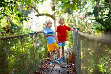Kids hiking in the mountains. Bridge over river.