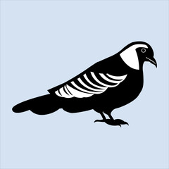 A Beautiful and Eye catching Pigeons line art in Black and white