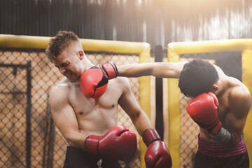 Two professional boxer boxing. Professional box match.