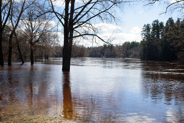 a flooded river with trees in the water on a sunny spring day