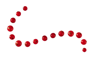 Red currants ribes png isolated on transparent background arranged in a line forming a curve line of currant fruit