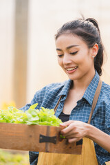 Young asian woman farmer holding basket full of fresh green vegetables salad in hydroponic farm, Organic vegetable ready to serve for salad, Green plant in greenhouse for food business for good health