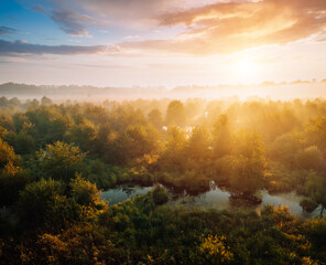 Wetlands and impassable expanses of wild territory in the morning sunlight. Seret River, Ukraine, Europe.