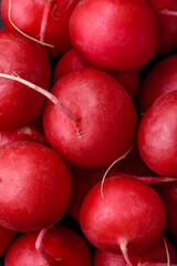 Delicious fresh raw red radish for making healthy salad