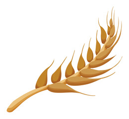 Ear of cereal or wheat in cartoon style on white background, Vector illustration