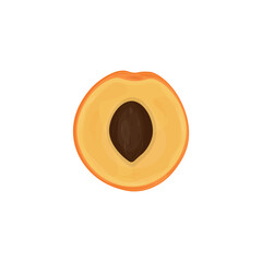 peach isolated on white background.fruit vector illustration