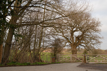 Obraz premium Enter the Eastnor Castle park low grand view with the main wooden gate.