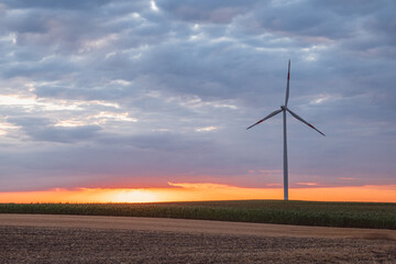 Obraz premium Windmills in a field at sunset