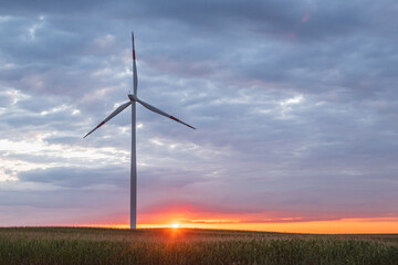 Obraz premium Windmills in a field at sunset