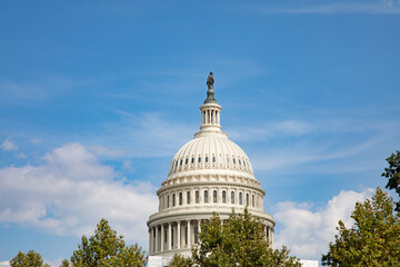 Naklejka premium US Capitol