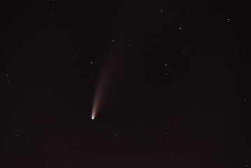 Kometa Neowise C/2020 F3 na nocnym niebie