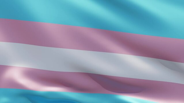 Transgender striped flag. 3d render animation