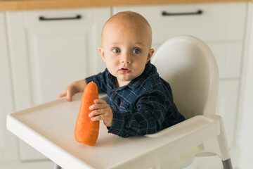 Little boy in a blue t-shirt sitting in a child's chair eating carrot copy space and empty space for text - baby care and infant child feeding concept