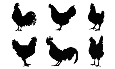 set of silhouettes of chiken & rooster