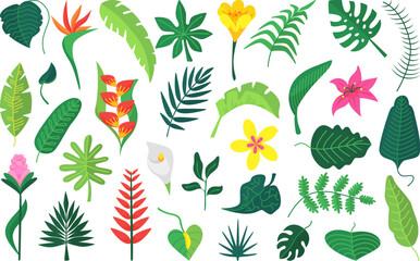 Flat exotic plants leaf, flower tropical bush. Isolated jungle leaves, bushes and palm foliage. Botanical abstract graphic, neoteric vector nature clipart
