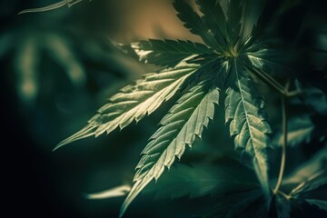 Vibrant, dense layered marijuana leaf texture background, generative AI