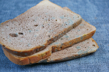 bread with mildew. Spoiled products