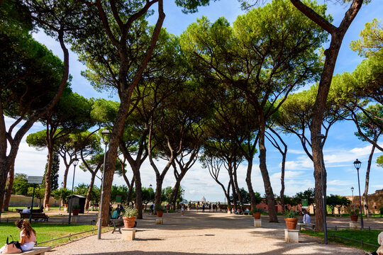 Orange Trees garden on Aventine hill, Rome, Italy (translation "Fiorenzo Fiorentini square")