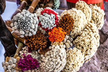 Small bouquet of sempre-viva flowers at Mucuge in the Chapada Diamantina National Park, Bahia, Brazil