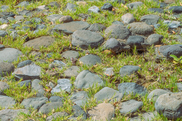 Sunny Morning Nature Shoot