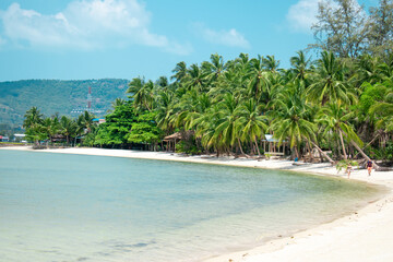 Palm trees on a paradise beach, Koh Samui, Gulf of Thailand