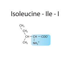 Isoleucine - Ile - I amino acid structure. Skeletal formula with amino group highlighted in  blue. Scientific illustration.