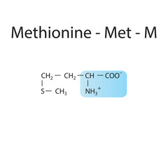 Methionine - Met - M amino acid structure. Skeletal formula with amino group highlighted in  blue. Scientific illustration.