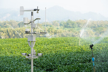 Weather station in green tea field, 5G technology with smart farming concept