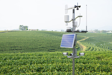 Weather station in green tea field, 5G technology with smart farming concept