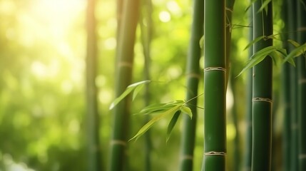 Fototapeta na wymiar Fresh Bamboo Trees In Forest With Blurred Background. Generative AI