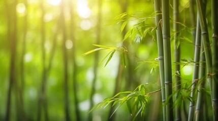 Fototapeta na wymiar Fresh Bamboo Trees In Forest With Blurred Background. Generative AI