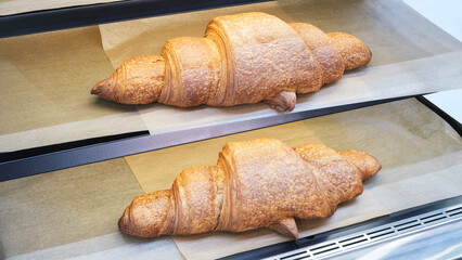 Delicious bread buns in a bakery or supermarket