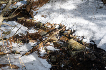 Winter landscape of Vitosha Mountain, Bulgaria