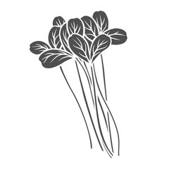 Pea shoots micro greens glyph icon vector illustration. Stamp of leafy vegetable, leaves of baby plant in bunch, healthy grass and pea sprouts for fresh vegetarian salad from agriculture garden
