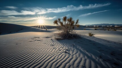 Fototapeta premium White sand desert on a sunny day with small arid plants Generative AI