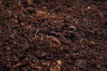 fertile soil for planting and growing plants. 