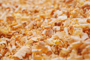 sawdust and shavings. material for agriculture. mulch 