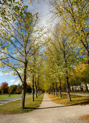 Hannover, Germany - October 16, 2022. Alleys of Herrenhausen in autumn, located in Hanover, Germany, the capital of Lower Saxony