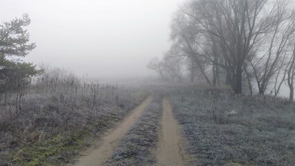 The dirt road runs through the trees along the riverbank. In late autumn, after night frosts and high humidity, at dawn the grass was covered with frost and the whole area was shrouded in thick fog